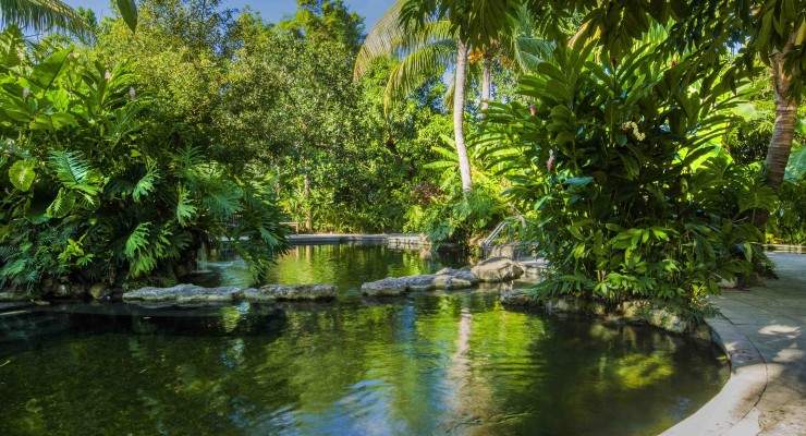 Afternoon pond view 