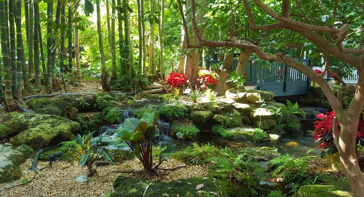 Garden with red flowers